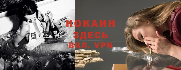 дмт Богданович