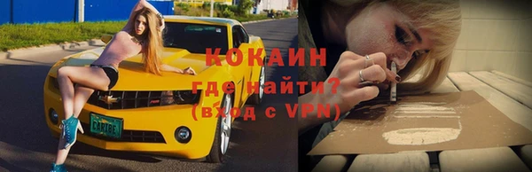 дмт Богданович