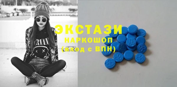 дмт Богданович