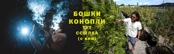 стафф Богородск