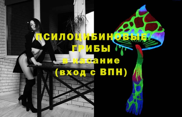 дмт Богданович