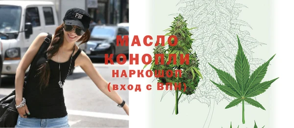 дмт Богданович
