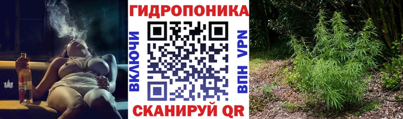 Бошки Шишки VHQ  Купить  Мамоново 